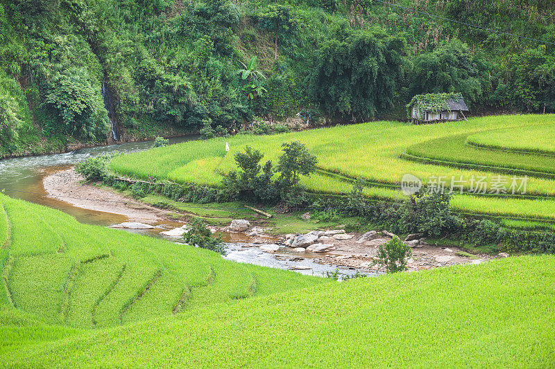 美丽的风景，绿色的稻田准备在越南西北部的梯田日落山在木仓寨，Yen Bai，越南